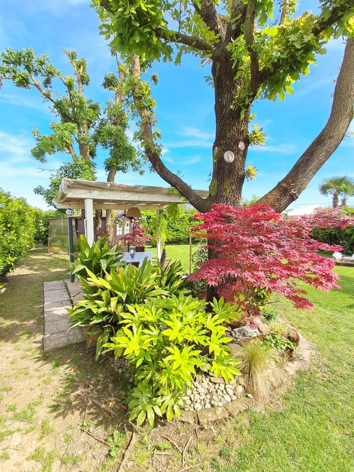 Villa Sabry Turriaco Екстериор снимка